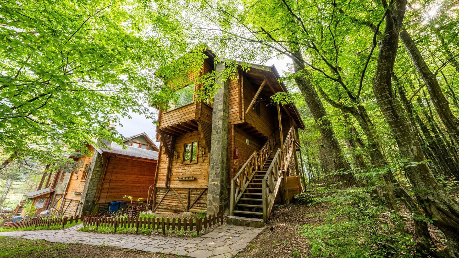 Abant Korudam Bungalov Butik Otel Экстерьер фото